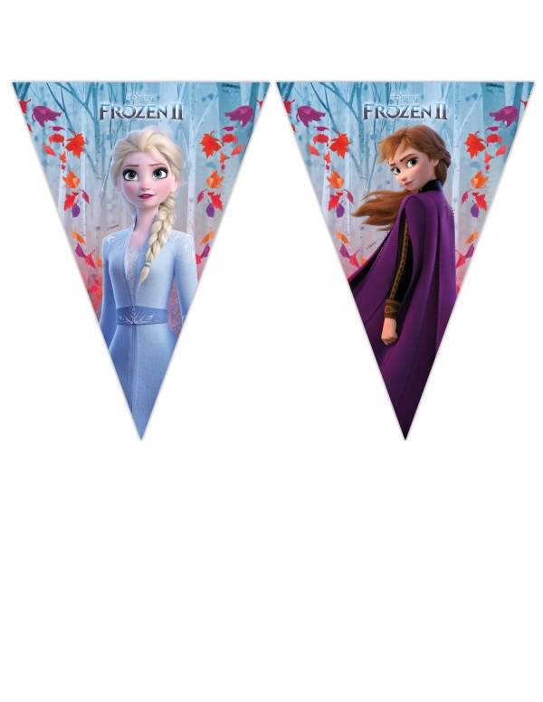 Biogato.fr Pack décoration d'anniversaire Reine des neiges princesses Disney - 2