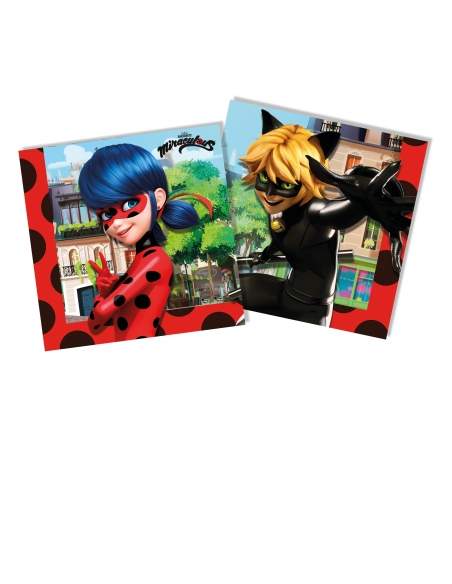 Biogato.fr Pack décoration d'anniversaire Ladybug Miraculous - 5