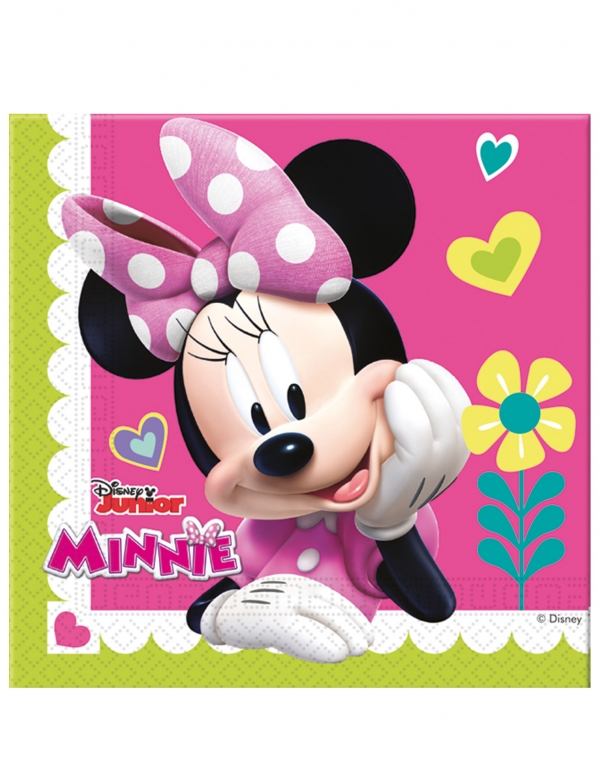 Biogato.fr Pack décoration d'anniversaire Minnie - 5