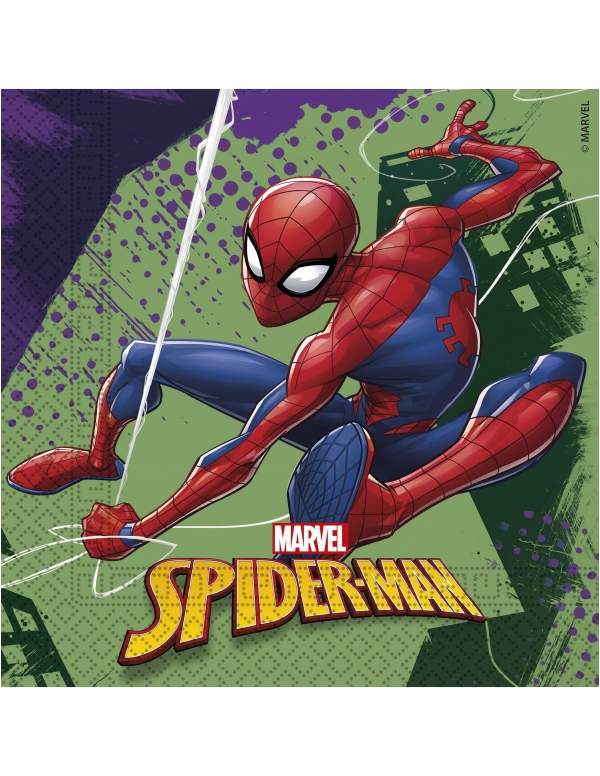 Biogato.fr Pack décoration d'anniversaire Spiderman Marvel super-héros - 3