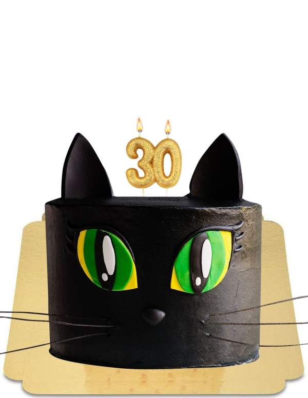  Gâteau chat noir au regard intense vegan, sans gluten - 67