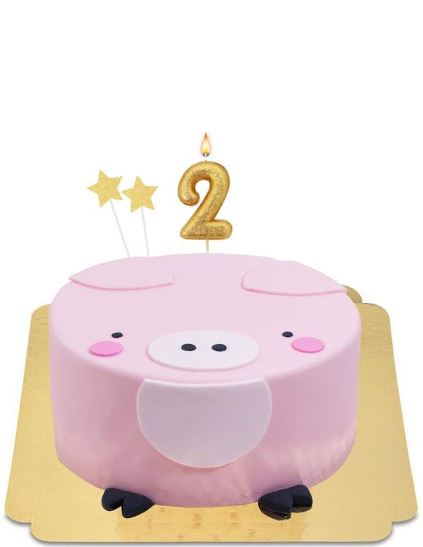  Gâteau rigolo tête de cochon kawaii vegan, sans gluten - 54