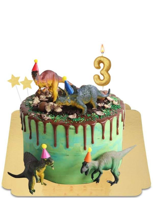  Drip cake dinosaure marbré vert sauce chocolat vegan, sans gluten - 15