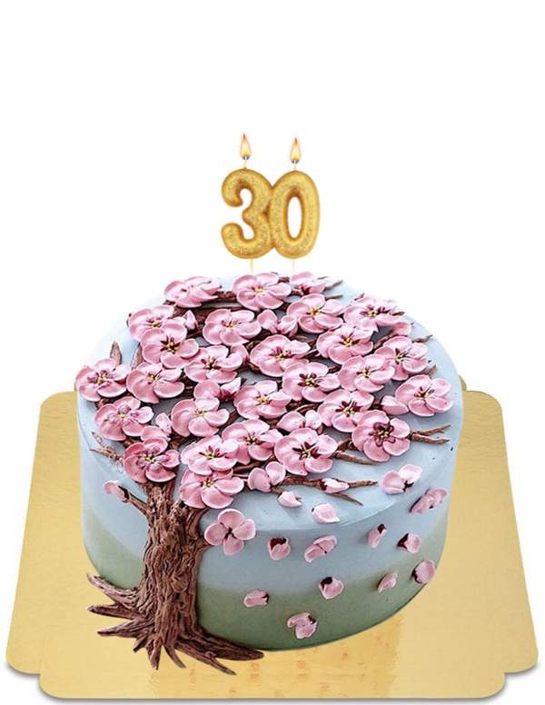  Gâteau cerisier en sucre vegan, sans gluten - 31