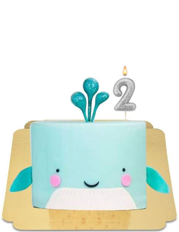  Gâteau baleine adorable vegan, sans gluten - 27