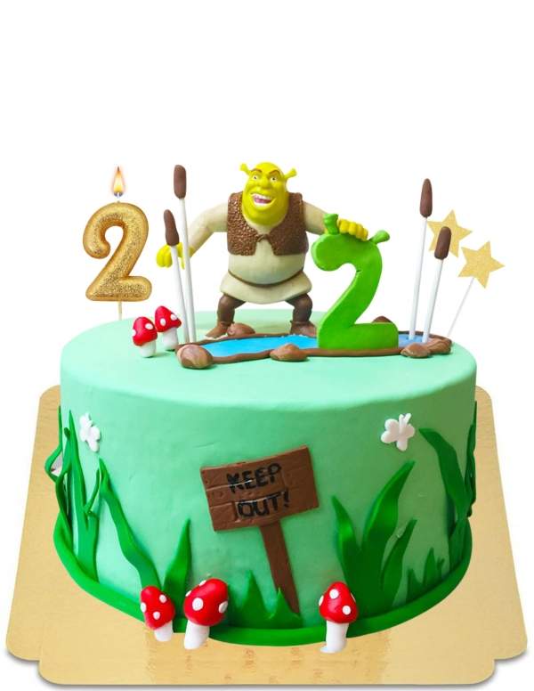 Gâteau Shrek dans sa forêt vegan, sans gluten - 82