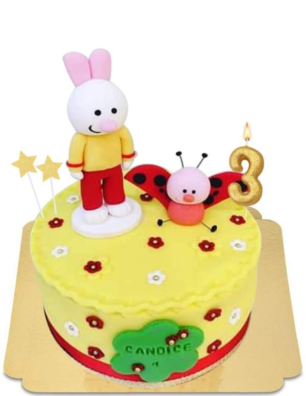 Gâteau Didou dessine-moi le petit lapin vegan, sans gluten - 43