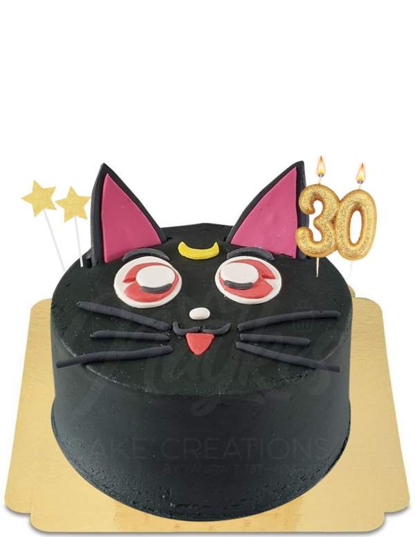  Gâteau Sailor Moon chaton vegan, sans gluten - 62