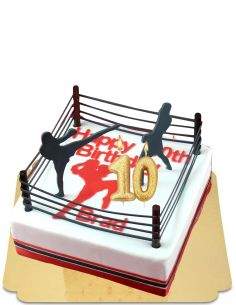 Biogato.fr Gâteau kickboxing vegan, bio et sans gluten - 239