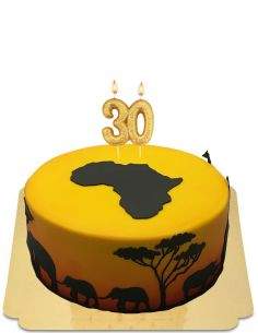 Biogato.fr Gâteau Afrique vegan, bio et sans gluten - 220