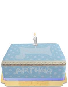 Biogato.fr Gâteau anniversaire 1 an garçon sans œuf, végétarien et sans gluten - 50
