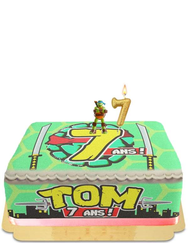 Biogato.fr Gâteau Tortue Ninja sans œuf, végétarien et sans gluten - 64