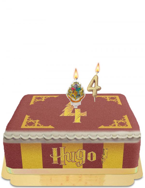 Biogato.fr Gâteau Harry Potter Quidditch sans œuf, végétarien et sans gluten - 7